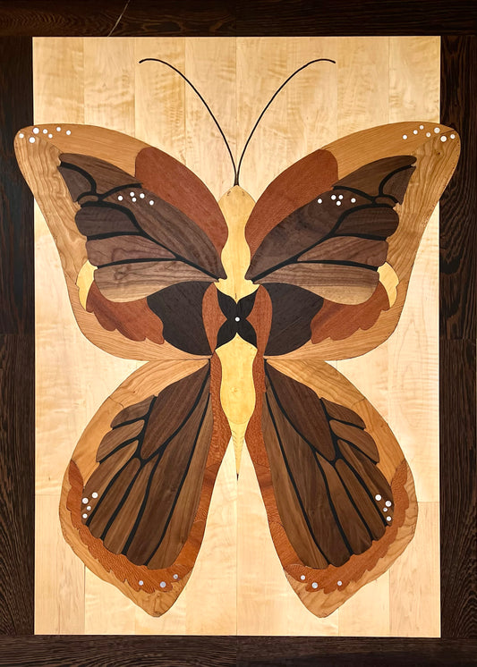 Butterfly Break Through